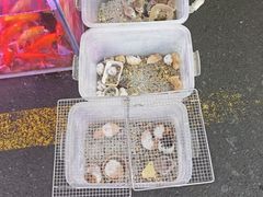-海纳百川·都市温泉·足道·SPA(学院路店)