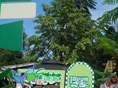 -碧峰峡风景区