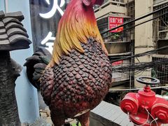 -一只烧鸡公(解放碑店)