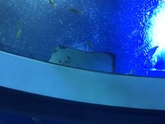 -珠海怡景湾大酒店