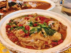-丁老爷子苏香圆