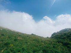 -白草畔自然风景区