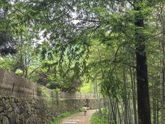 -莫干山风景区