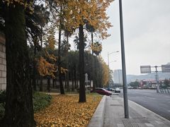 -棕榈泉国际花园1期