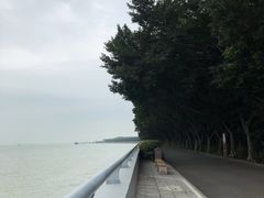 -大湾区中央湿地公园