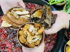 -肥龙火锅(南坪店)