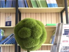 -槿言教育·雅思托福·国际教育·小语种培训留学中心(观音桥店)