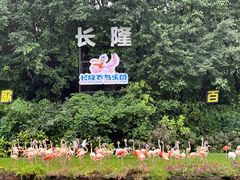 -广州长隆飞鸟乐园
