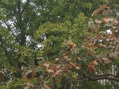 -北京石刻艺术博物馆(五塔寺)