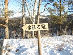 -北极村旅游风景区