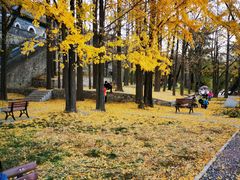 -阳台山自然风景区