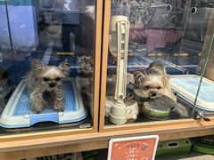 -FAELING PETS美天灵宠物(富力广场店)