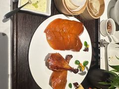 -梧桐