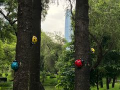 -人民公园(罗湖区)