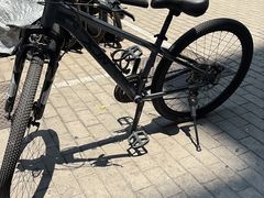 -道路口单车爱瓦士dahon大行