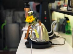 -Manner Coffee(大宁国际商业广场店)
