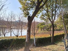 -狼山风景名胜区