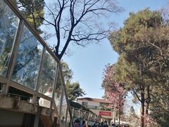-昆明动物园