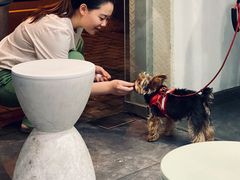 门面-小宝·路鼎记·福鼎特色小吃(富民路店)