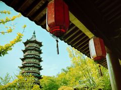 -牛首山文化旅游区