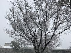 -江南天池高山汤泉城