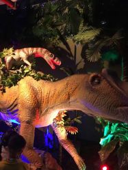 -恐龙探索乐园(磁器口店)