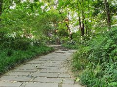-成都市活水公园