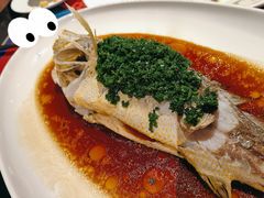 古法蒸大黄鱼-上海滩餐厅(BFC外滩金融中心店)