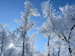 -中旅松花湖滑雪场