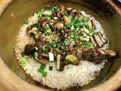 -红星光发煲仔饭(大石街店)