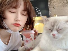 -瞄一喵猫咖(格力海岸店)