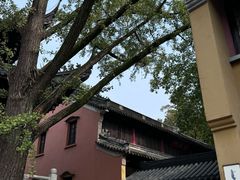 -灵谷景区