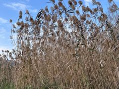 -云漫湖生态度假公园