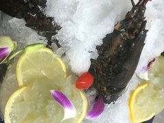 -福来齐·鲁菜海鲜·渔家菜(朝阳街分店)