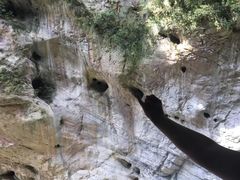 -太鲁阁公园