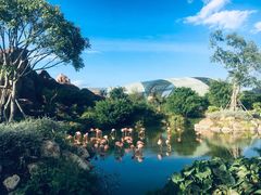 -芽庄珍珠岛游乐园