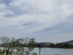-羊山湖公园