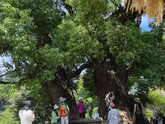 -杨家堂村
