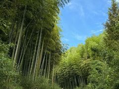 -御香农家菜(莫干山庾村店)