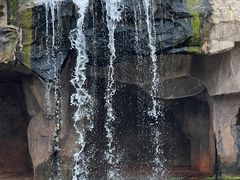 -海南热带野生动植物园