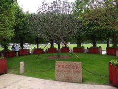 -点心传说·粤菜点心(佐阾虹湾店)