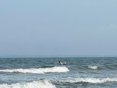 -东海岛旅游度假区