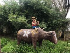 -溱湖国家湿地公园