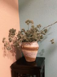 -香秀空间科技抗衰·美容中心