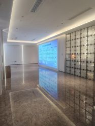 -广州美莱医疗美容医院