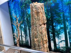 -延庆地质公园博物馆