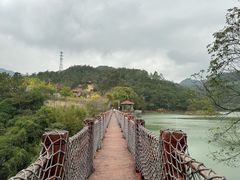 -广州白江湖森林公园