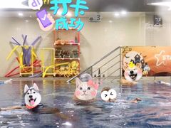 -蓝旗亲子游泳(范湖万达广场店)