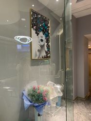 -MC皮肤管理中心