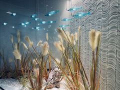 -王家渡火锅(金宝汇店)